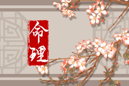 紫微抖数排盘 连山易命盘解析 命盘神煞查询 八字基本命盘查询 测紫薇命盘详解 紫微星预言原文